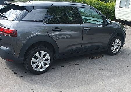 Citroën C4 Cactus PureTech 110 S&S Shine Shine