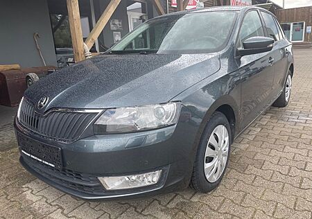 Skoda Rapid Spaceback Joy