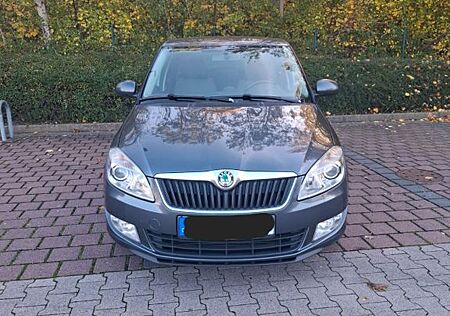 Skoda Fabia 1.6l TDI - 77kW/105PS