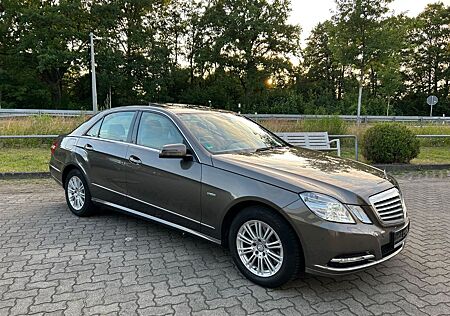 Mercedes-Benz E 350 BlueEFFICIENCY ELEGANCE ELEGANCE