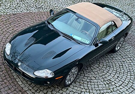 Jaguar XKR S/C Cabriolet pampered