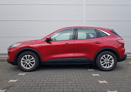 Ford Kuga Titanium (Navi/Kamera/Head-Up)