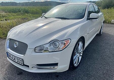 Jaguar XF 4.2 V8 Premium Luxury