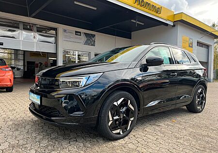 Opel Grandland X Grandland (X) Navi/LED-Scheinwerfer/Park&Go-Pake