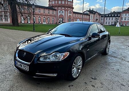 Jaguar XF gebraucht kaufen Jaguar XF 3.0 V6 Diesel S Portfolio Portfolio
