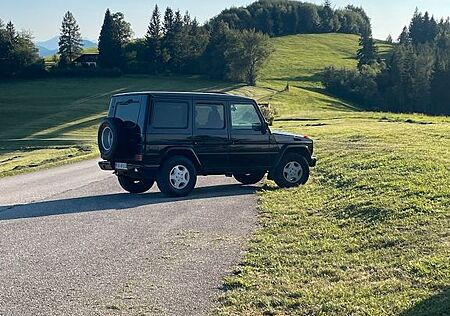 Mercedes-Benz G 300 TD Lang 463