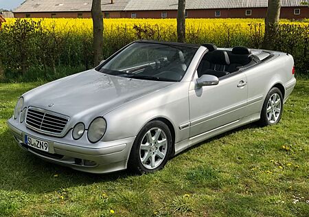 Mercedes-Benz CLK 230 Cabrio
