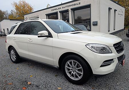 Mercedes-Benz ML 250 ML -Klasse CDI BlueTec Automatik
