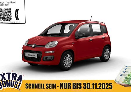 Fiat Panda Pandina POP Hybrid #KLIMA #PARKSENSOREN