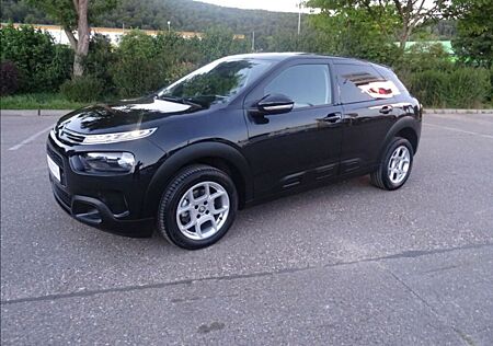 Citroën C4 Cactus BlueHDi 120 S&S Shine EAT6 Shine