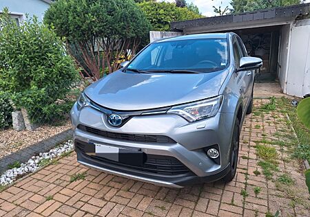 Toyota RAV 4 2,5-l-Hybrid Team Deutschland Auto