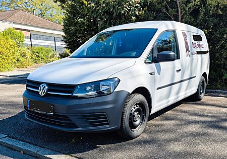 VW Caddy Volkswagen 2,0TDI 75kW Dog Walker Ausbau