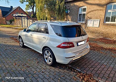 Mercedes-Benz ML 350 BlueTEC 4MATIC AMG-Optik