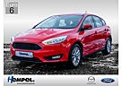Ford Focus 1.5 Eco. Cool & Connect AAC PDC SHZ AHK
