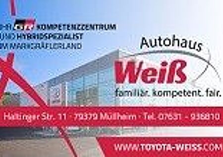 Kia Rio 1,2 Vision Schaltwagen Topfahrzeug