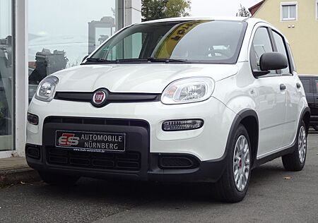 Fiat Panda Base Mild Hybrid Top Zustand