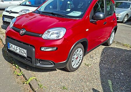 Fiat Panda HYBRID 1.0 GSE