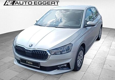 Skoda Fabia 1.0 EU6e Selection 1,0 TSI DSG Digitales