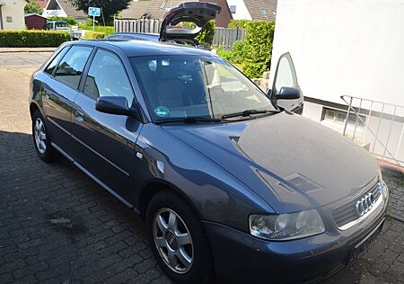 Audi A3 1.6 Ambition Ambition