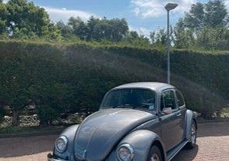 VW Käfer Volkswagen "Jubi" Jubiläumskäfer 50 Jahre 1200L