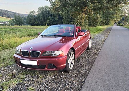 BMW 318Ci - Metallic Rot
