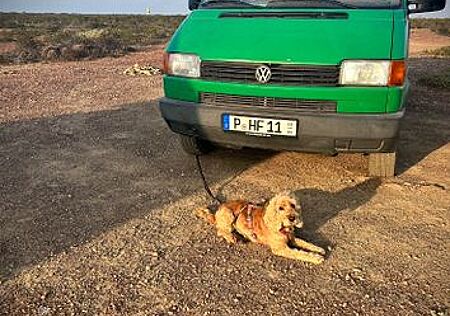 VW T4 Multivan Volkswagen Volkswagen Bulli 95 3/27 TÜV 2,5 l