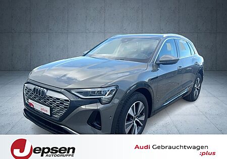 Audi Q8 e-tron advanced 50 qu. PANO HUD AHK Matrix 19