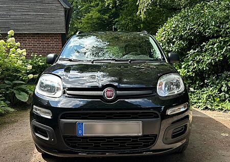 Fiat Panda schwarz Klima wenig Kilometer 1. Hand