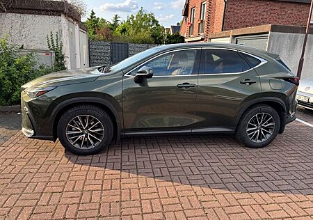 Lexus NX 350h + Paket MY25 *360*Navi*LED*el Heck*SHZ*CarPlay