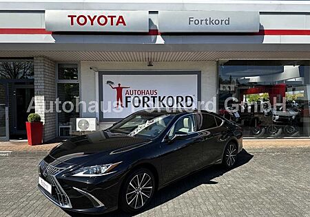 Lexus ES 300h Executive Line - LED, Pano, Leder