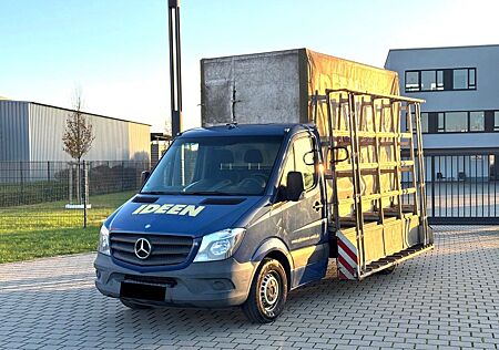 Mercedes-Benz Sprinter 313 CDI Pritsche-Plane AHK/Regale/1Hand