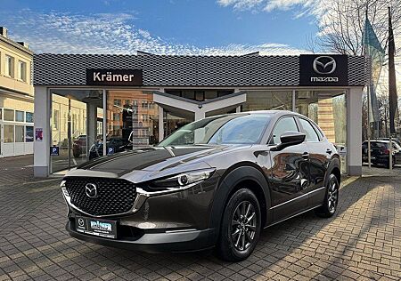Mazda CX-30 gebraucht kaufen Mazda CX-30 L SKYACTIV-G 2.0 M Hybrid 6GS AL-SELECTION