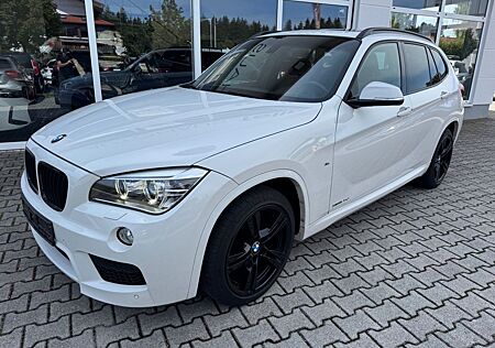 BMW X1 20d xDrive/M-Sport/Leder/Autom/Standheiz/TOP