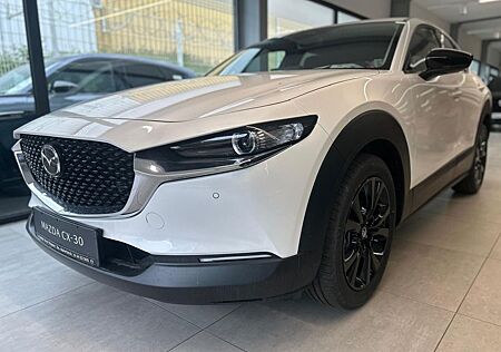 Mazda CX-30 Homura 2.5 140 PS *Navi*Tageszulassung*