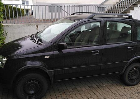 Fiat Panda - Allrad