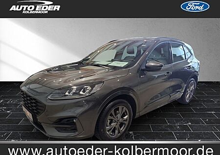 Ford Kuga ST-Line leichter Hagelschaden Sportpaket