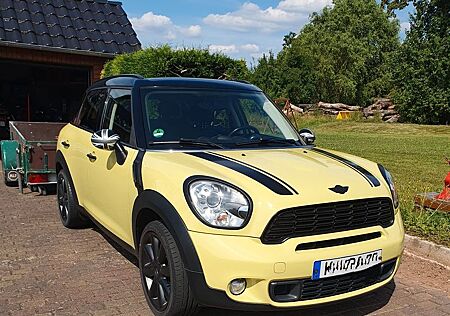 Mini Cooper S Countryman 8fach bereift