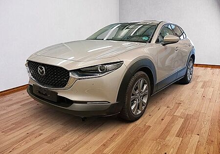 Mazda CX-3 CX-30 e-SKYACTIV-G Takumi*LEDER*360*BOSE*HUD*