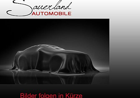 Audi Q2 sport S-LINE NAVI LED ACC PDC SHZ 20" ALU