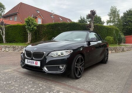 BMW 220I Cabrio Luxeryline Leder Navi Pdc Automatik