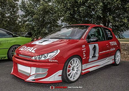 Peugeot 206 RC 180 WRC Edition 2 Limitiert auf 100 Stück