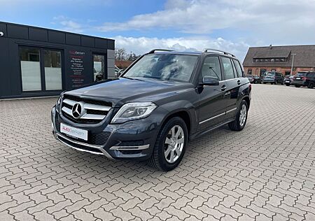 Mercedes-Benz GLK 200 CDI BI-Xenon 1HD 53.586 KM AHK