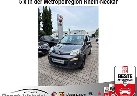 Fiat Panda Easy 1.2 PDC Klima MP3 CD met. eFH NSW Tag