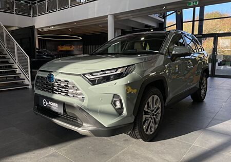 Toyota RAV 4 2.5 Hybrid Pano 360 Premium 4x4 Voll 2024