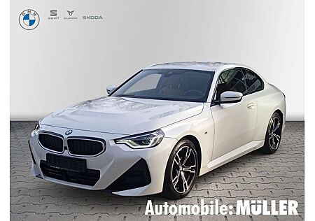 BMW 1er M Coupé 220d Coupé