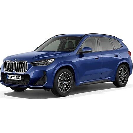 BMW X1 kaufen