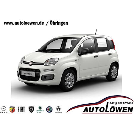 Fiat Panda leasen