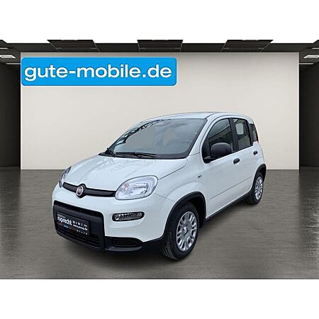 Fiat Panda leasen