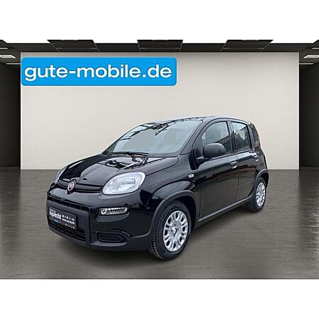 Fiat Panda leasen