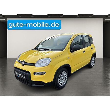 Fiat Panda leasen